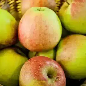 Pomme Jubilée