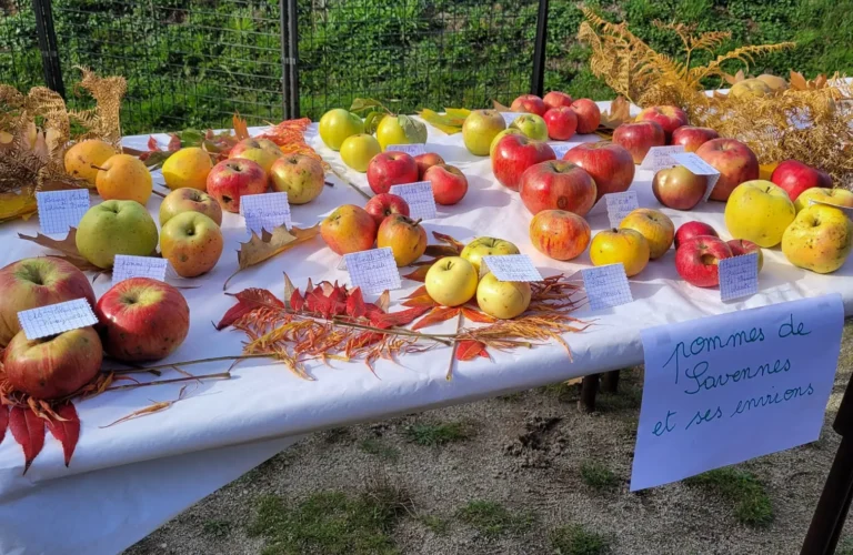 Table presentation pomme varietes anciennes