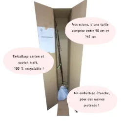 Arbres fruitiers livraison