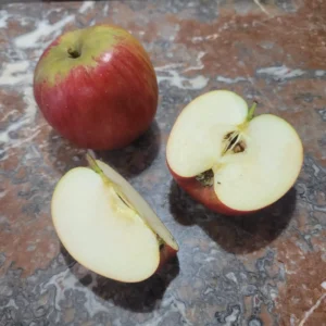 Pomme reine des reinettes