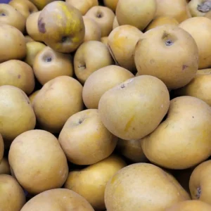pomme canada