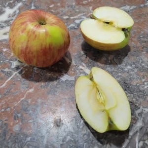 Pomme Gravenstein
