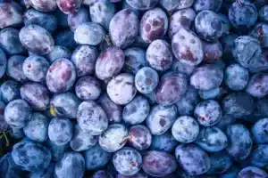 Prune Quetsche