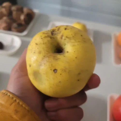 Pomme Canada Blanc de la Creuse