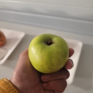 Pomme Michelin