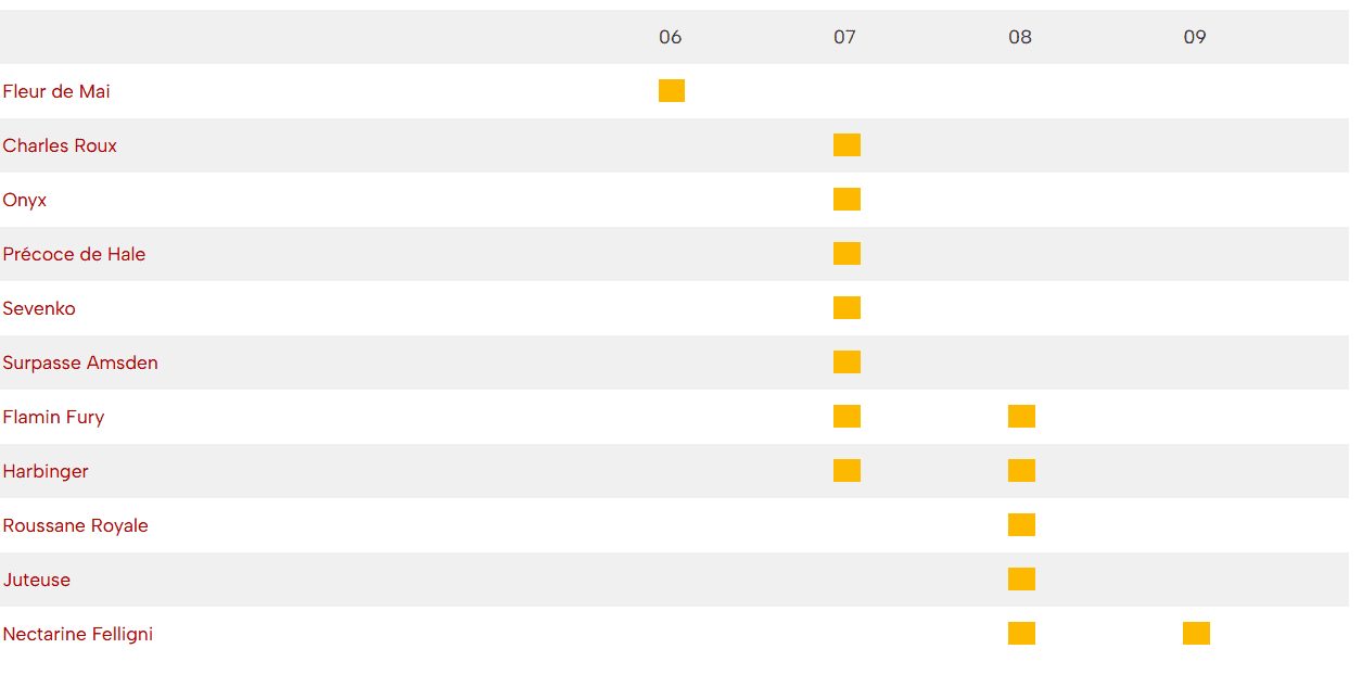 Calendrier maturité pêches pépinière fruitier La ferme de Margaux