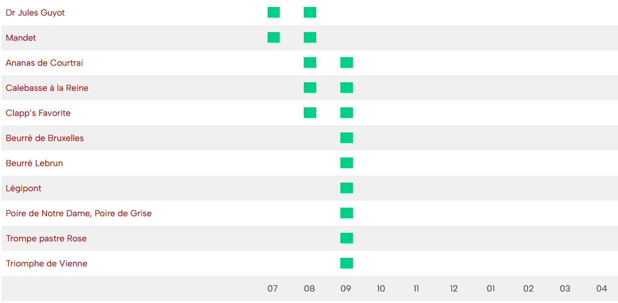 Calendrier maturité poires pépinière fruitier La ferme de Margaux