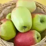 Pomme cloche ressemblant a pigeon du felgadou