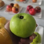 Pomme Calville Blanc
