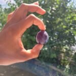 Prune Datil