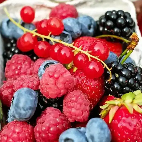 Fruits rouges Bio