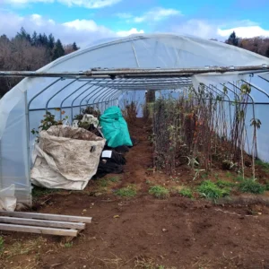 arbre en jauge sous serre